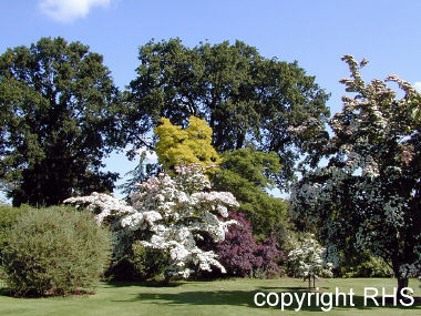 Spring landscape